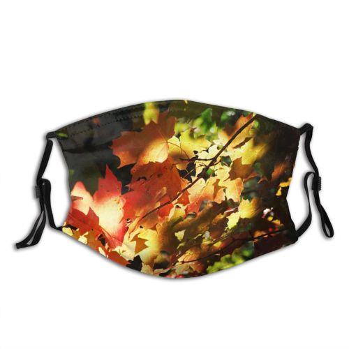 yanfind Maple Autumn Woody Leaves Maple Plant Fall Sky Light Branch Leaf Leaf Dust Washable Reusable Filter and Reusable Mouth Warm Windproof Cotton Face