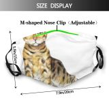 yanfind Isolated Pencils Striped Cat Kitty Colorful Fauna Leopard Smooth Stand Bengal Design Dust Washable Reusable Filter and Reusable Mouth Warm Windproof Cotton Face