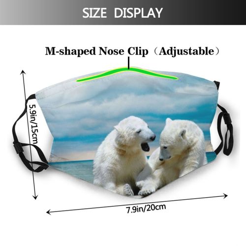 yanfind Ice Michigan Arctic Frozen Wild Togetherness Polar Snow Wilderness Sky Over Wildlife Dust Washable Reusable Filter and Reusable Mouth Warm Windproof Cotton Face