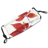 yanfind Flowering Deciduous Leaf Maple Leaf Plant Maple Flower Tree Plant Autumn Woody Dust Washable Reusable Filter and Reusable Mouth Warm Windproof Cotton Face
