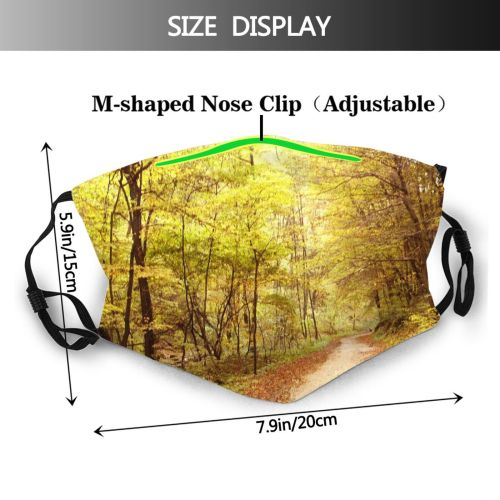 yanfind Landscape Leaf Sunlight Tree Forest Natural Autumn Woodland Dust Washable Reusable Filter and Reusable Mouth Warm Windproof Cotton Face