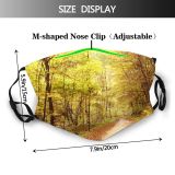 yanfind Landscape Leaf Sunlight Tree Forest Natural Autumn Woodland Dust Washable Reusable Filter and Reusable Mouth Warm Windproof Cotton Face