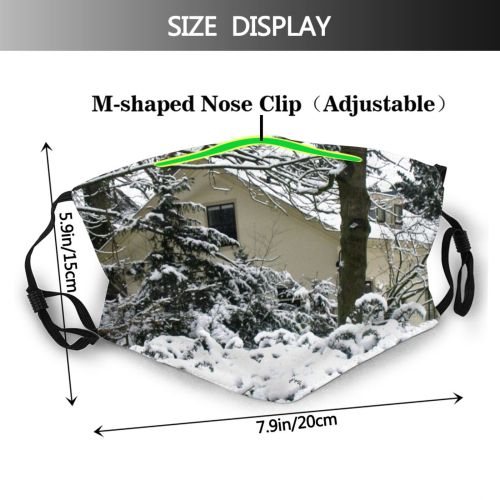 yanfind Winter Home Winter Ice Branch Snow Holland Twig Tree Blizzard Frost Season Dust Washable Reusable Filter and Reusable Mouth Warm Windproof Cotton Face