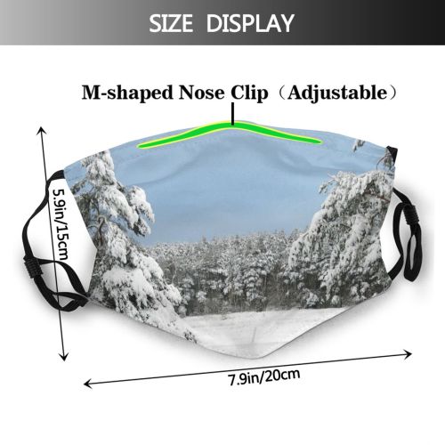 yanfind Winter Frost Heritage Winter Natural Woody Landscape Sky Branch Spruce Snow Olsztynek Dust Washable Reusable Filter and Reusable Mouth Warm Windproof Cotton Face