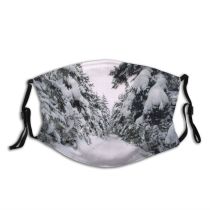 yanfind Fir Winter Road Geological Tree Branch Frost Winter Freezing Snow Vermont Biome Dust Washable Reusable Filter and Reusable Mouth Warm Windproof Cotton Face