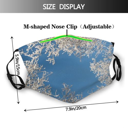 yanfind Winter Frost Sky Winter Beauty Sky Plant Ice Branch Crystals Twig Tree Dust Washable Reusable Filter and Reusable Mouth Warm Windproof Cotton Face