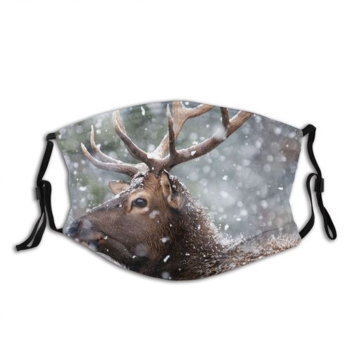 yanfind Reindeer Wild Tree Scene Snow Stag Focus Wildlife Hoofed Scenics Idyllic Antler Dust Washable Reusable Filter and Reusable Mouth Warm Windproof Cotton Face