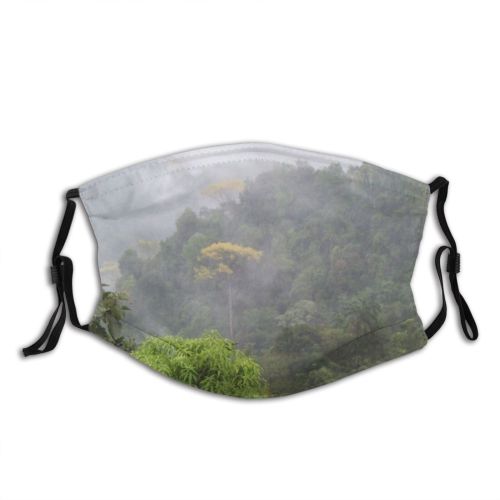 yanfind Foggy Station Forest Jungle Rainforest Rica Jungle Hill Landscape Vegetation Costa Natural Dust Washable Reusable Filter and Reusable Mouth Warm Windproof Cotton Face