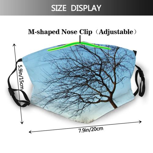 yanfind Winter Natural Woody Invierno Landscape Sky Fall Branch Sunny Tree Tree Hojas Dust Washable Reusable Filter and Reusable Mouth Warm Windproof Cotton Face