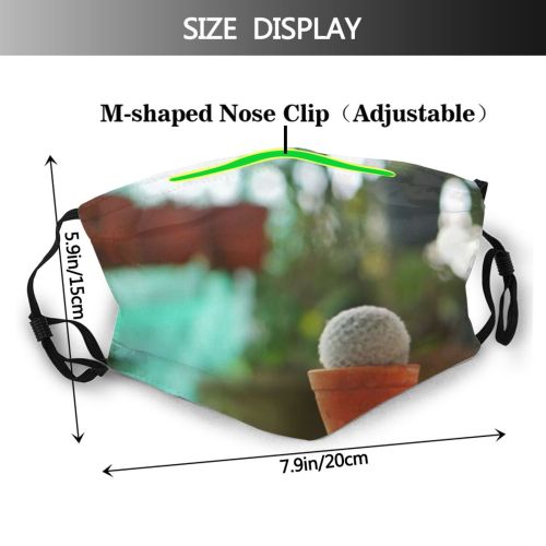 yanfind Caucasian Cacti Flower Botany Garden Gardening Flora Blooming Plant Cactus Grow Decorative Dust Washable Reusable Filter and Reusable Mouth Warm Windproof Cotton Face