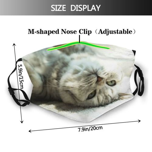 yanfind Comfortable Egyptian Whisker Fur Young Cat Kitty Cute Enjoy Carnivore Lazy Window Dust Washable Reusable Filter and Reusable Mouth Warm Windproof Cotton Face