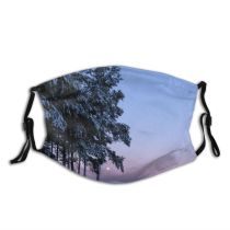 yanfind Winter Finland Landscape Scenery Sky Tree Winter Natural Freezing Atmospheric Snow Seasons Dust Washable Reusable Filter and Reusable Mouth Warm Windproof Cotton Face