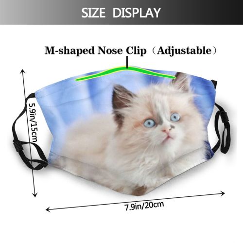 yanfind Lovely Whisker Fur Little Cat Kitty Cute Meow Carnivore Peace Active Friendly Dust Washable Reusable Filter and Reusable Mouth Warm Windproof Cotton Face