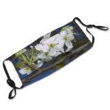 yanfind May Flower Prunus Blossum Spring Sky Limb Spring Leaves Branch Plant Flowers Dust Washable Reusable Filter and Reusable Mouth Warm Windproof Cotton Face