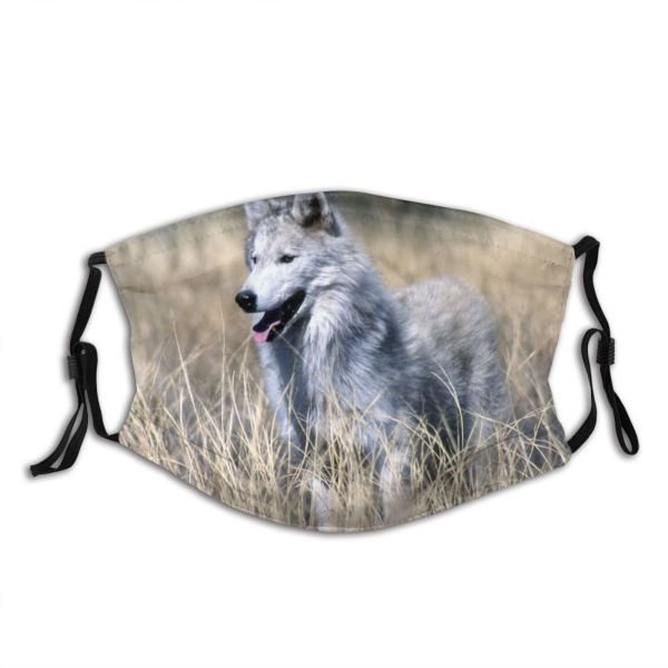 yanfind Wildlife Vertebrate Dog Czechoslovakian Carnivore Wolfdog Canidae Wolf Canis Saarloos Wolfdog Dust Washable Reusable Filter and Reusable Mouth Warm Windproof Cotton Face