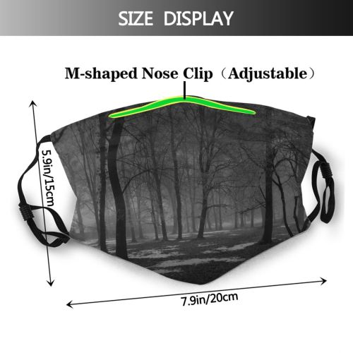 yanfind Winter Landscape Tree Atmosphere Natural Atmospheric Dust Washable Reusable Filter and Reusable Mouth Warm Windproof Cotton Face