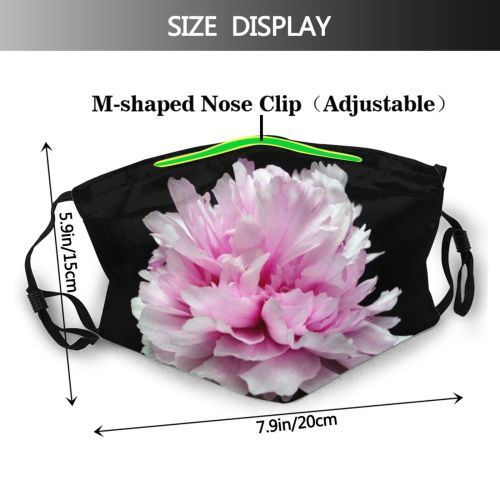 yanfind Plant Elegance Flower Carnation Flower Love Romance Plant Flowers Common Spring Chinese Dust Washable Reusable Filter and Reusable Mouth Warm Windproof Cotton Face