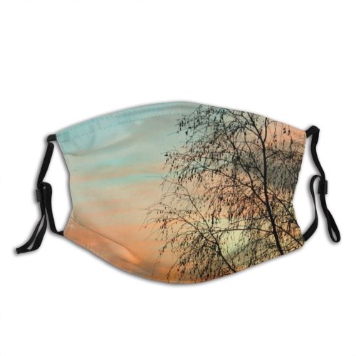 yanfind Winter Shades Sunset Afterglow Landscape Cloud Glow Sky Tree Branch Morning Natural Dust Washable Reusable Filter and Reusable Mouth Warm Windproof Cotton Face