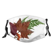 yanfind Flowering Leaves Leaf Maple Leaf Plant Maple Tree Plant Botany Flora Plane Dust Washable Reusable Filter and Reusable Mouth Warm Windproof Cotton Face