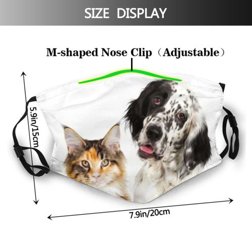 yanfind Portrait Looks Isolated Dog Kitten Maine Puppy Cat Teenager English Coon Muzzle Dust Washable Reusable Filter and Reusable Mouth Warm Windproof Cotton Face