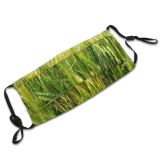 yanfind Plant Field Plant Crop Agriculture Grass Barley Flowering Khorasan Wheat Hordeum Grain Dust Washable Reusable Filter and Reusable Mouth Warm Windproof Cotton Face
