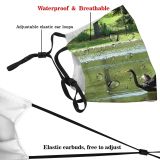 yanfind Fly Duck Asas River Bird Pond Lago Ave Bird Flying Swan Rio Dust Washable Reusable Filter and Reusable Mouth Warm Windproof Cotton Face