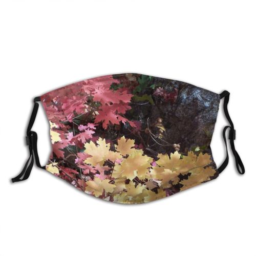 yanfind Flowering Leaves Deciduous Gum Leaf Trees Plant Flower Maple Tree Sweet Plant Dust Washable Reusable Filter and Reusable Mouth Warm Windproof Cotton Face
