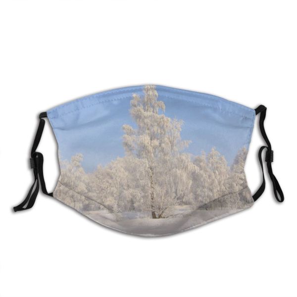 yanfind Winter Frozen Winter Atmospheric Larch Woody Wojkowice Sky Plant Wood Poland Snow Dust Washable Reusable Filter and Reusable Mouth Warm Windproof Cotton Face
