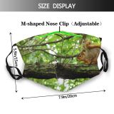yanfind Squirrel Limb Critter Branch Branch Rodent Squirrel Fox Organism Tree Tree Adaptation Dust Washable Reusable Filter and Reusable Mouth Warm Windproof Cotton Face