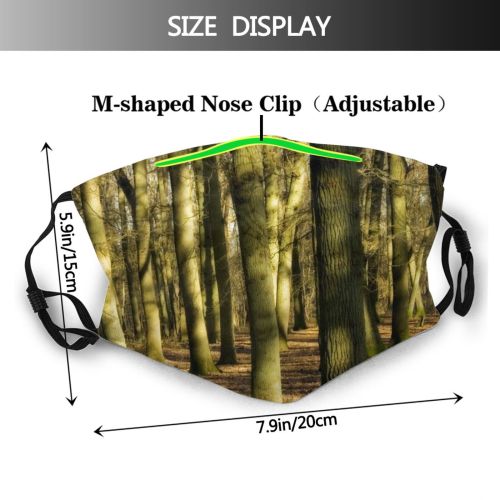 yanfind Winter Natural Woody Landscape Light Forest Tree Trunk Forest Woodland Trees Plant Dust Washable Reusable Filter and Reusable Mouth Warm Windproof Cotton Face