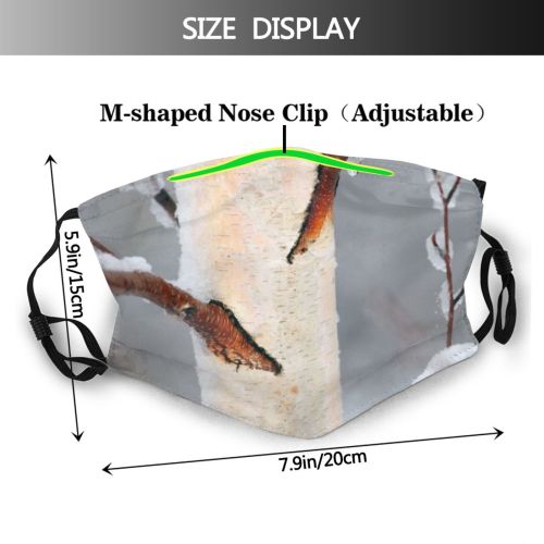 yanfind Winter Lake Landscape Tree Tree Ice Ice Frost Winter Natural Freezing Snow Dust Washable Reusable Filter and Reusable Mouth Warm Windproof Cotton Face