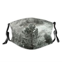 yanfind Pine Winter Landscape Vegetation Plant Tree Tree Plant Frost Winter Subshrub Freezing Dust Washable Reusable Filter and Reusable Mouth Warm Windproof Cotton Face