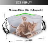 yanfind Mother Cat Kitty Cute Fawn Kittens Abyssinian Milk Licks Beautiful Eat Kitten Dust Washable Reusable Filter and Reusable Mouth Warm Windproof Cotton Face