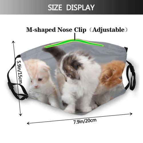 yanfind Brothers Shaggy Affectionate Cute Kittens Variegated Scottish Beautiful Pet Cats Fluffy Fold Dust Washable Reusable Filter and Reusable Mouth Warm Windproof Cotton Face