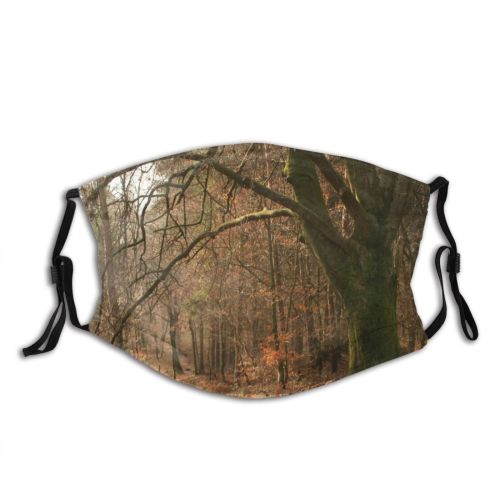 yanfind Wood Natural Sun Autumn Montferland Colours Landscape Vegetation Forest Hardwood Leaf Northern Dust Washable Reusable Filter and Reusable Mouth Warm Windproof Cotton Face