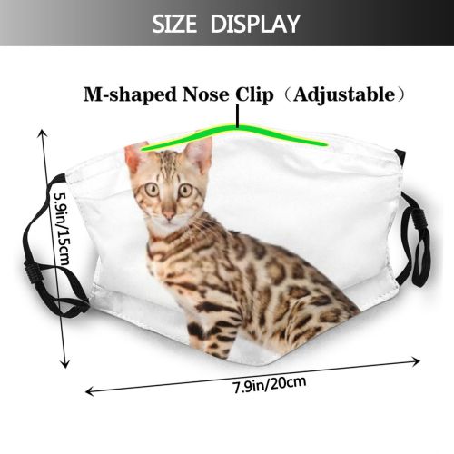 yanfind Isolated Fur Young Cat Cute Shorthair Gazing Pedigreed Leopard Bengal Vertebrate Face Dust Washable Reusable Filter and Reusable Mouth Warm Windproof Cotton Face