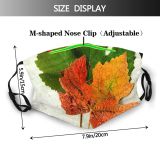 yanfind Flowering Leaf Maple Leaf Plant Maple Tree Plant Botany Plane Flower Dust Washable Reusable Filter and Reusable Mouth Warm Windproof Cotton Face