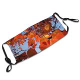 yanfind Plant Biome Plant Branch Leaf Leaf Autumn Twig Woody Deciduous Sky Tree Dust Washable Reusable Filter and Reusable Mouth Warm Windproof Cotton Face
