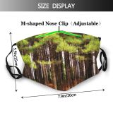 yanfind Natural Landscape Cedar Spruce Pine Forest Hardwood Arkansas Northern Tree Forest Forests Dust Washable Reusable Filter and Reusable Mouth Warm Windproof Cotton Face