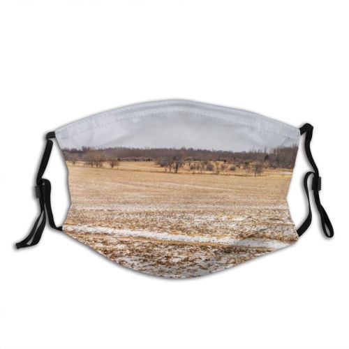 yanfind Landscape Agriculture Rural Tree Scene Snow Sky Over Meadow Midwest Agricultural Cloud Dust Washable Reusable Filter and Reusable Mouth Warm Windproof Cotton Face