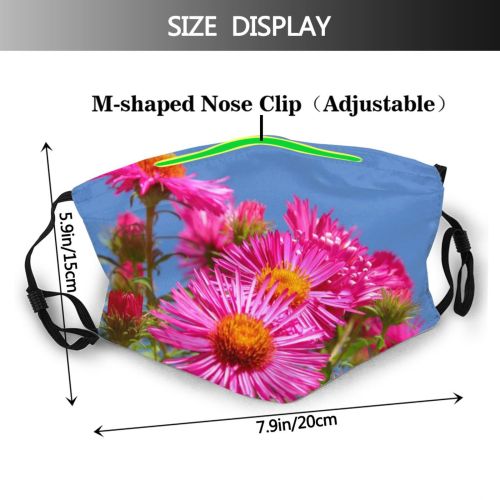 yanfind Plant Aster Bush Sky Flower Croatia China Flower Wildflower Plant Ice Aster Dust Washable Reusable Filter and Reusable Mouth Warm Windproof Cotton Face