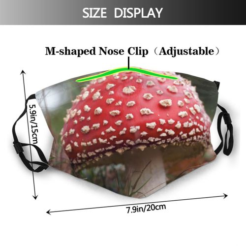 yanfind Plant Edible Penny Agaricaceae Fungus Fly Agaricomycetes Agaric Agaricus Agaric Mushroom Mushroom Dust Washable Reusable Filter and Reusable Mouth Warm Windproof Cotton Face