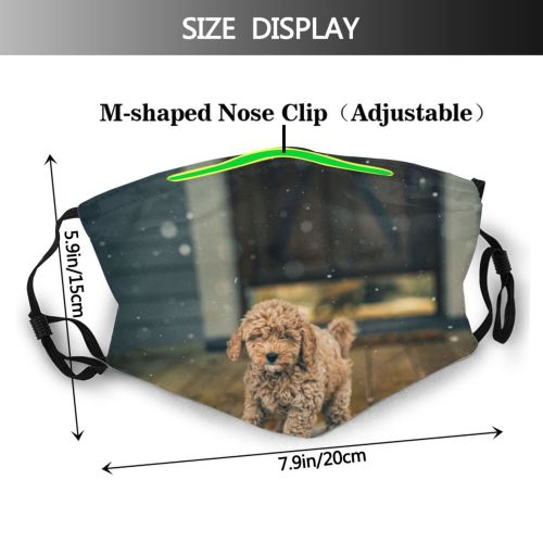 yanfind Poodle Nose Falling Brass Snow Effortless Miniature Curly USA Victorian Cute Snowflake Dust Washable Reusable Filter and Reusable Mouth Warm Windproof Cotton Face