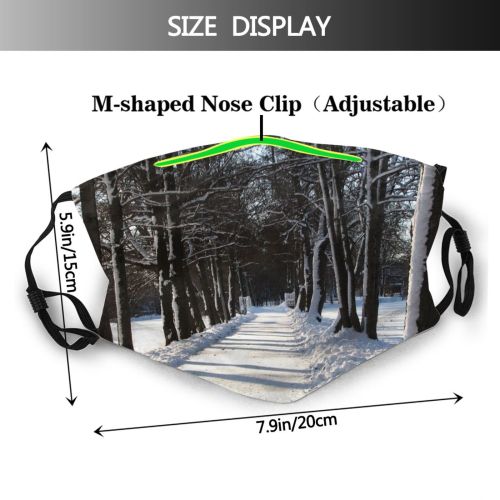 yanfind Winter Trail Winter Natural Woody Landscape Plant Branch Snow Road Tree Tree Dust Washable Reusable Filter and Reusable Mouth Warm Windproof Cotton Face