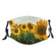 yanfind Blossom Sky Spring Flower Garden Flora Blooming Vibrant Meadow Plant Sunflower Space Dust Washable Reusable Filter and Reusable Mouth Warm Windproof Cotton Face
