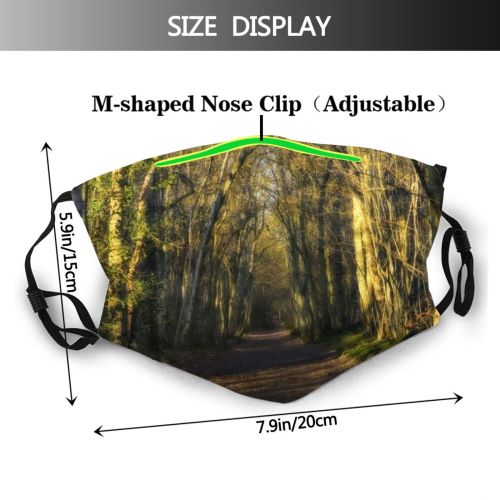 yanfind Winter Path Natural Growth Woody Landscape Forest Sunlight Tree Forest Light Trees Dust Washable Reusable Filter and Reusable Mouth Warm Windproof Cotton Face