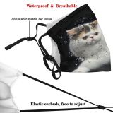 yanfind Isolated Fur Young Cat Cute Shorthair Vertebrate Beautiful Shot Pet Studio Eyes Dust Washable Reusable Filter and Reusable Mouth Warm Windproof Cotton Face