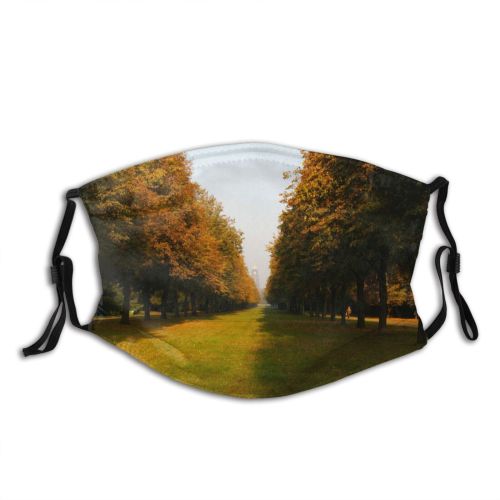 yanfind Morning Natural Sun Autumn Woody Landscape Haze Big Sky Sunny Leaf Sunshine Dust Washable Reusable Filter and Reusable Mouth Warm Windproof Cotton Face