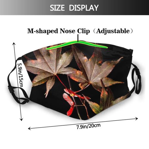 yanfind Plant Autumnal Calm Leaves Flower Serene Tree Maple Plant Forest Sycamore Canada Dust Washable Reusable Filter and Reusable Mouth Warm Windproof Cotton Face