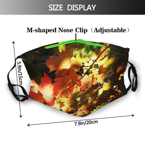 yanfind Maple Autumn Woody Leaves Maple Plant Fall Sky Light Branch Leaf Leaf Dust Washable Reusable Filter and Reusable Mouth Warm Windproof Cotton Face